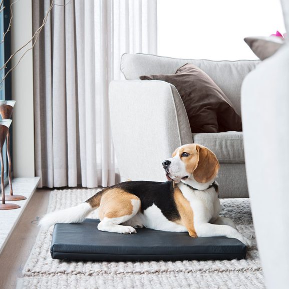 Madrass Svart Miljö