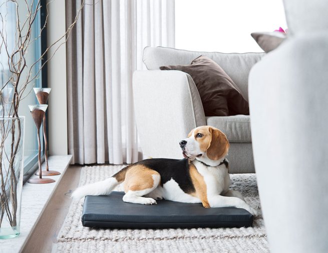 Madrass Svart Miljö