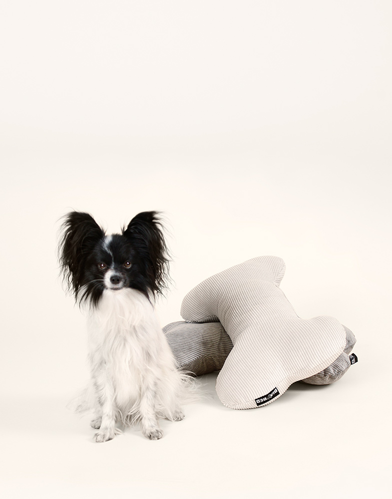 Hundben leksak Bia