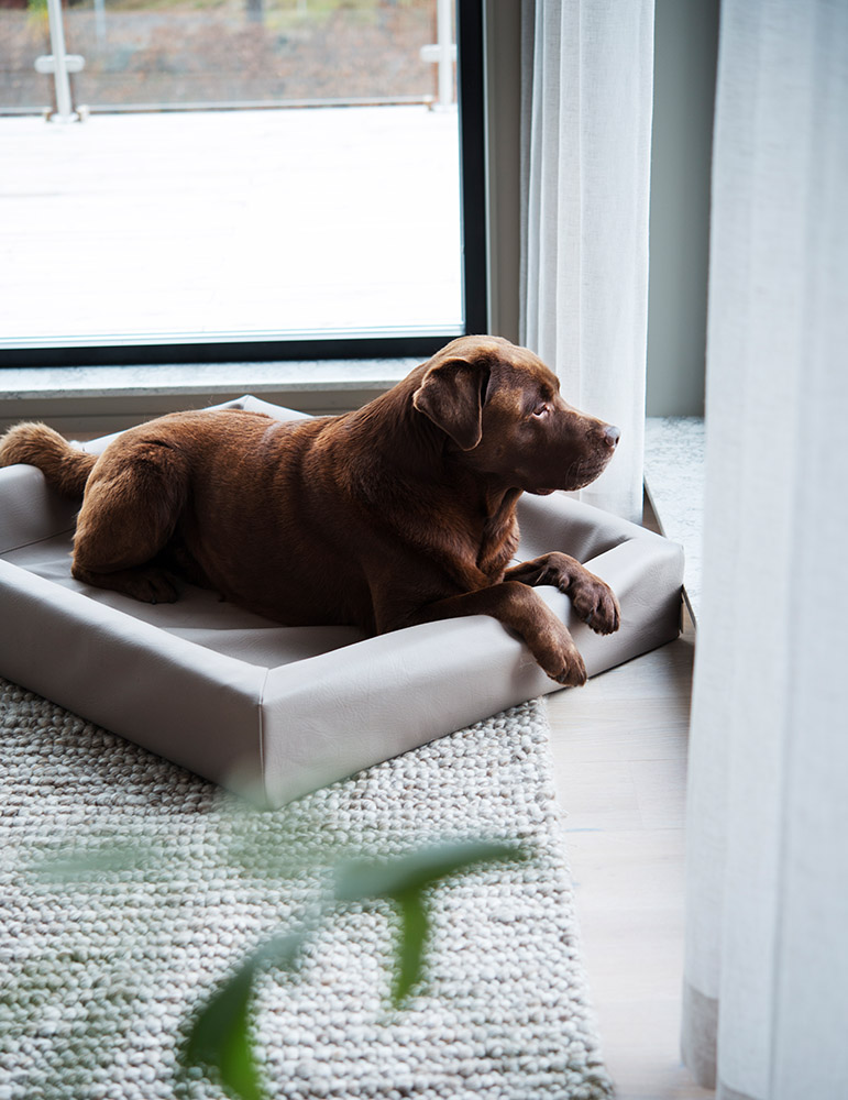 Bia Bed