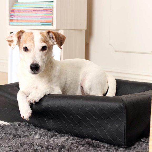 Bia Bed Square