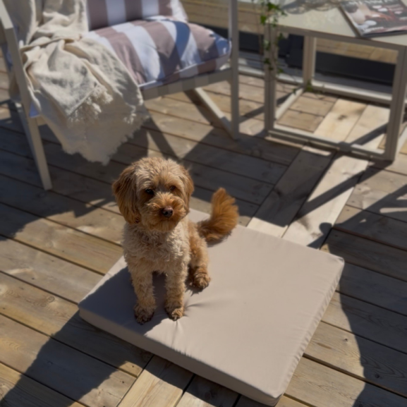 Framsida Outdoor