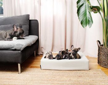 Bia Bed Cotton Grå