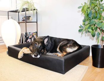 Bia Bed Hundbädd Original Svart