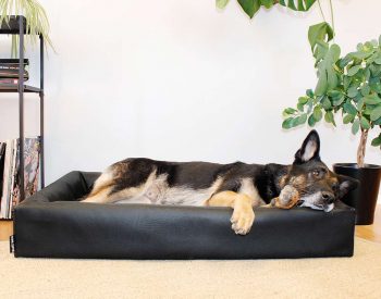 Bia Bed Hundbädd Original Svart