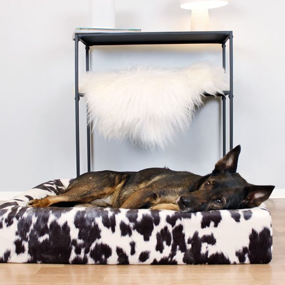 Bia Bed Cow