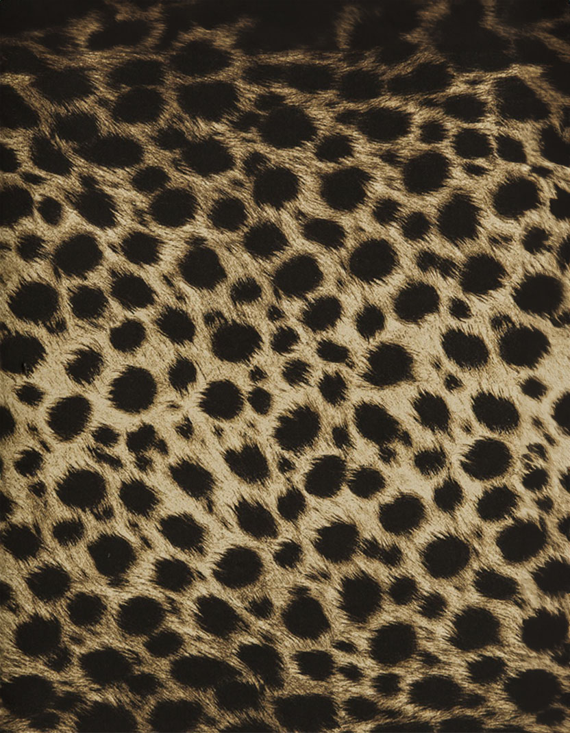 Bia Premium Leopard