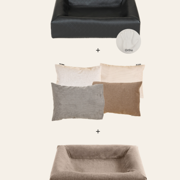 senior kit ny