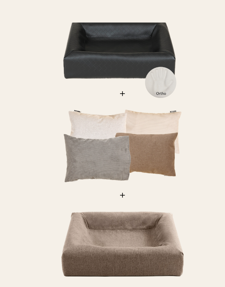 senior kit ny
