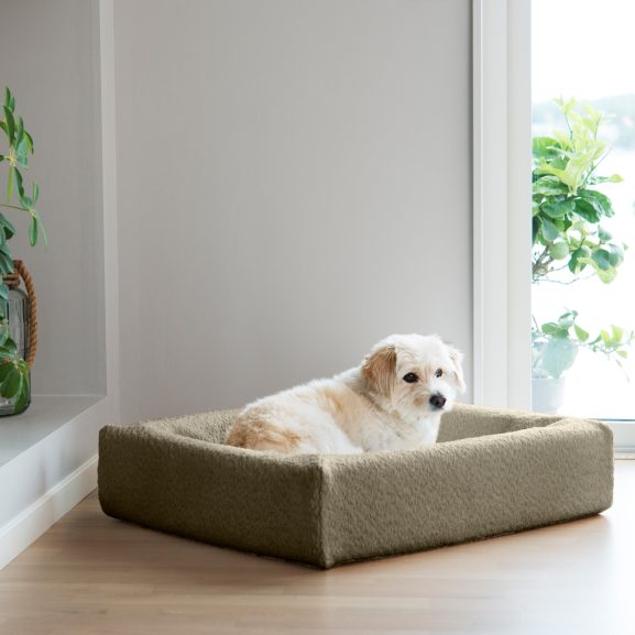 Premium Boucle Olive