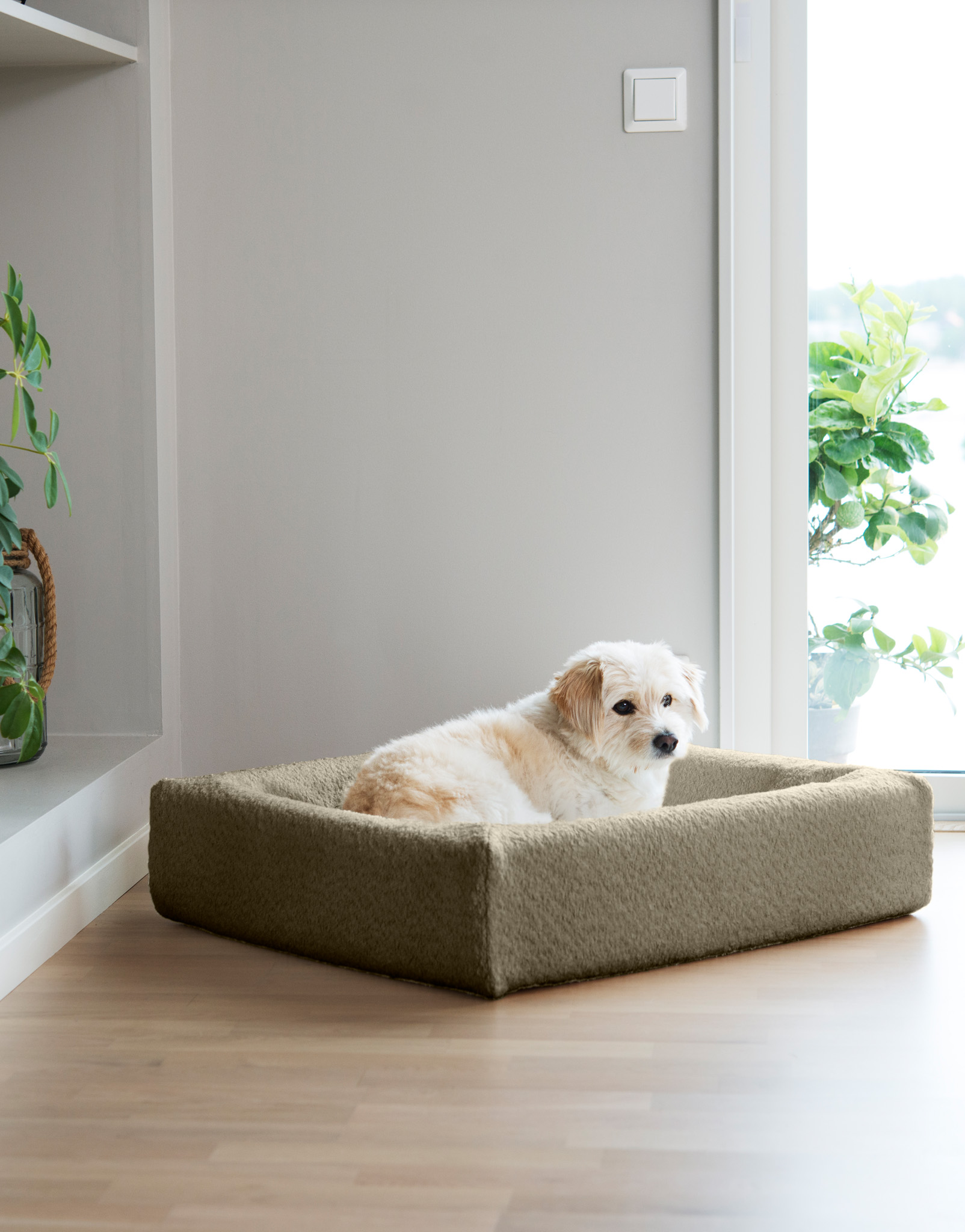 Premium Boucle Olive